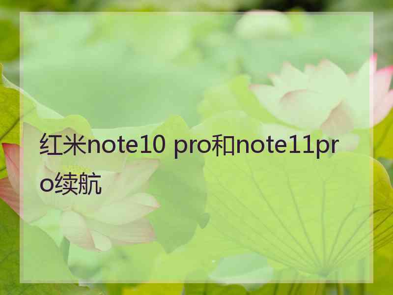 红米note10 pro和note11pro续航