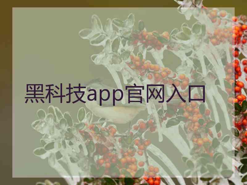 黑科技app官网入口