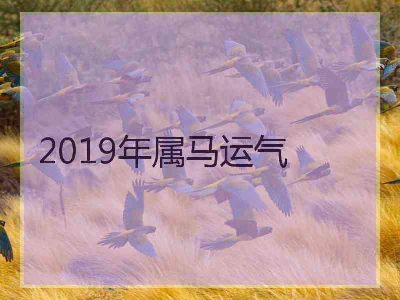 2019年属马运气