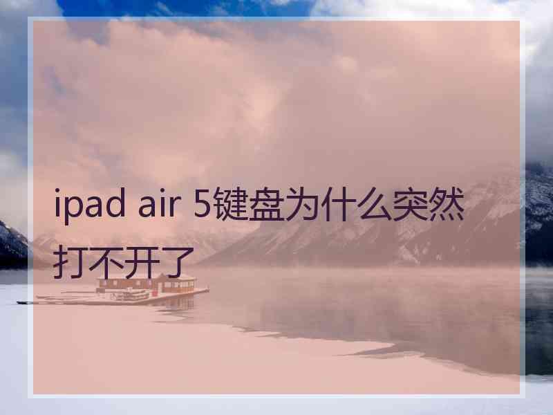 ipad air 5键盘为什么突然打不开了