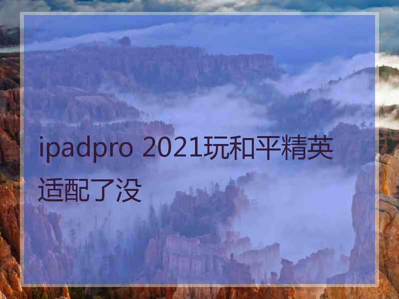 ipadpro 2021玩和平精英适配了没