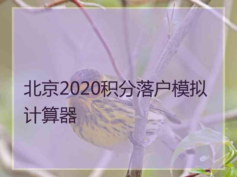 北京2020积分落户模拟计算器