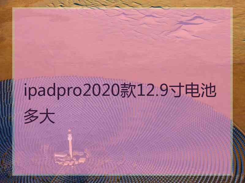 ipadpro2020款12.9寸电池多大