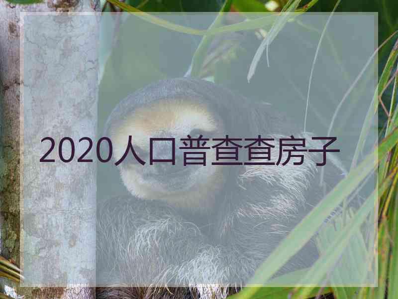 2020人口普查查房子