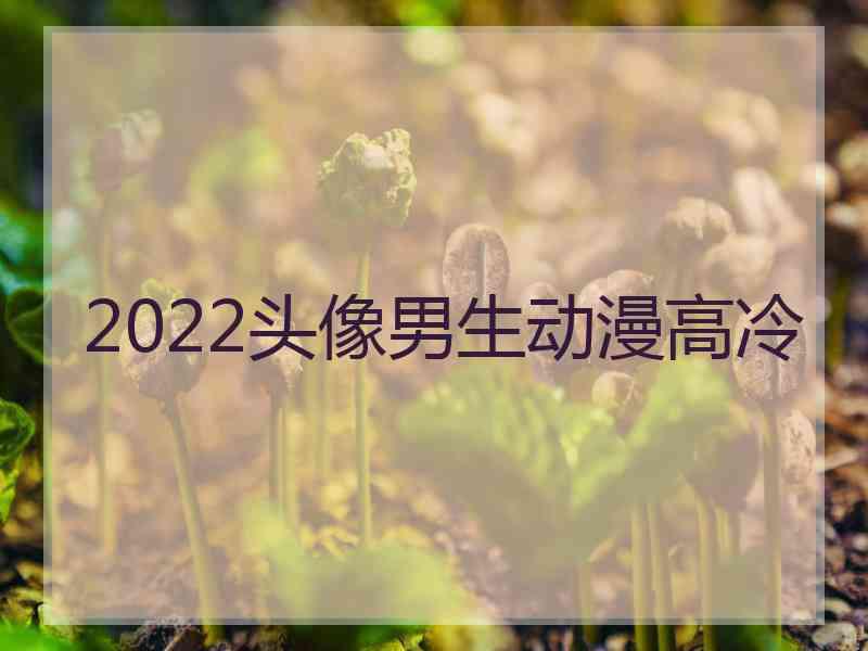 2022头像男生动漫高冷