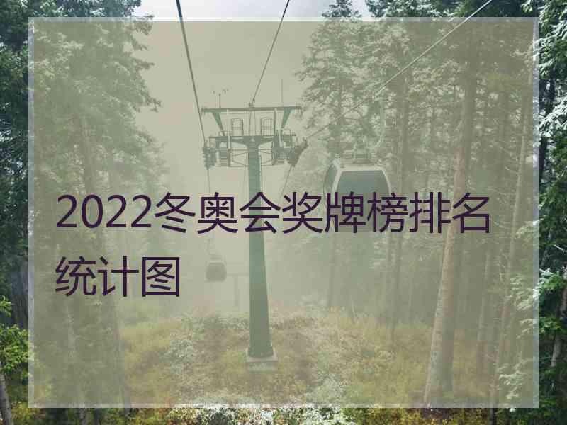 2022冬奥会奖牌榜排名统计图