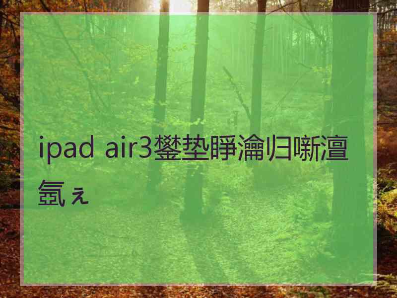 ipad air3鐢垫睜瀹归噺澶氬ぇ