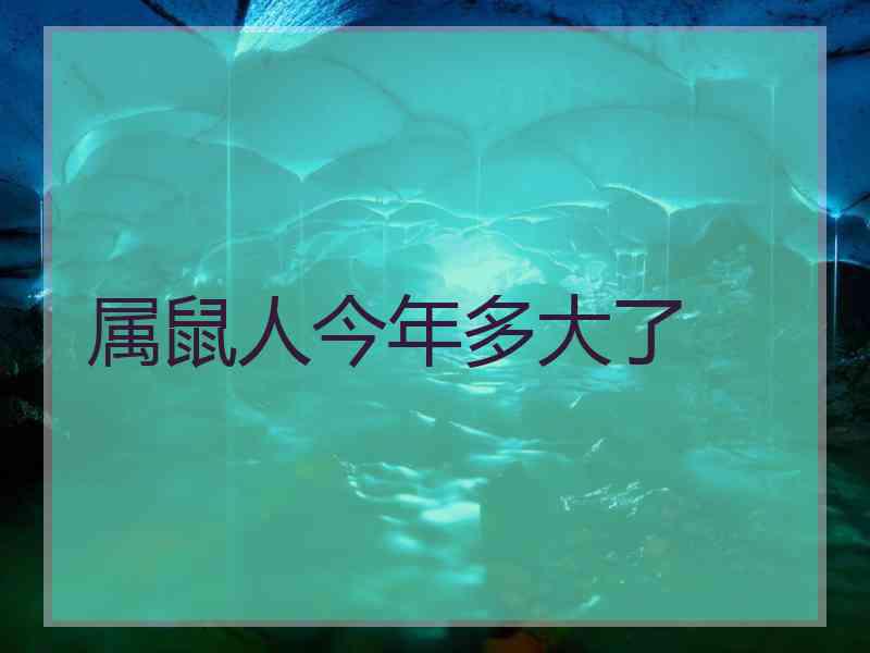 属鼠人今年多大了