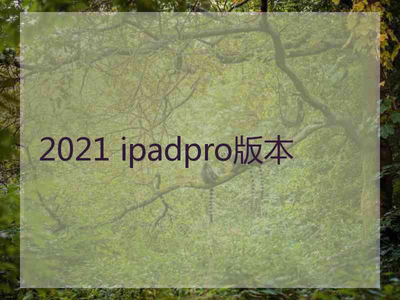 2021 ipadpro版本