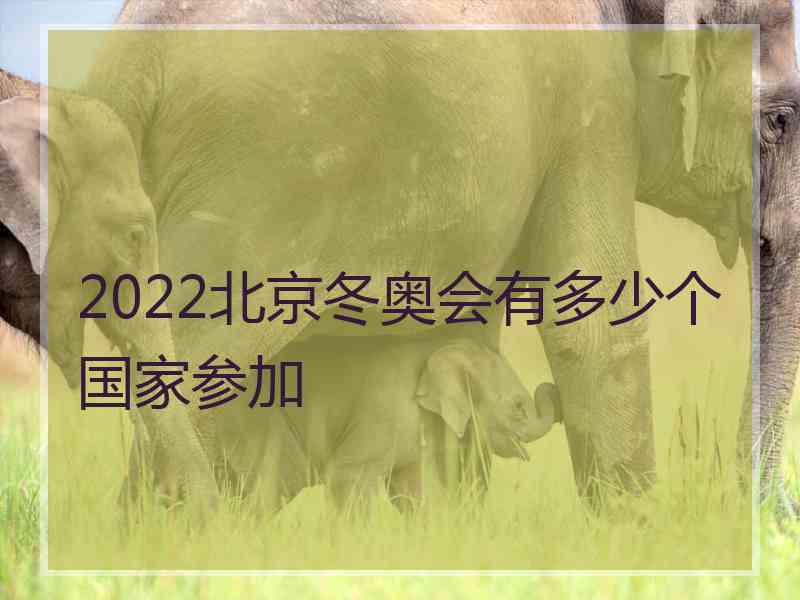 2022北京冬奥会有多少个国家参加