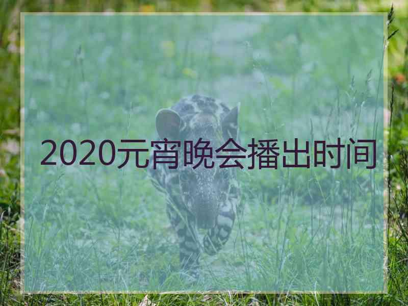 2020元宵晚会播出时间