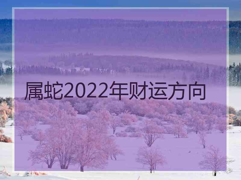 属蛇2022年财运方向