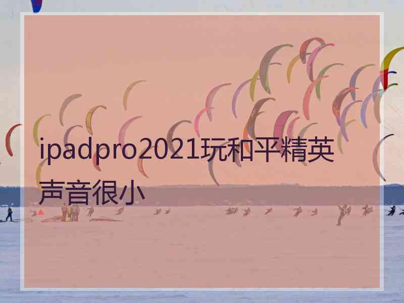 ipadpro2021玩和平精英声音很小