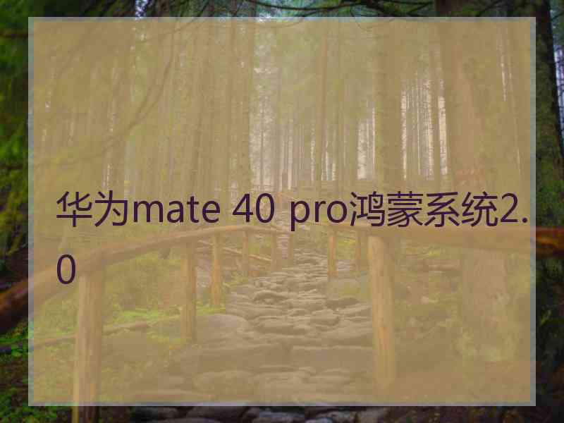 华为mate 40 pro鸿蒙系统2.0