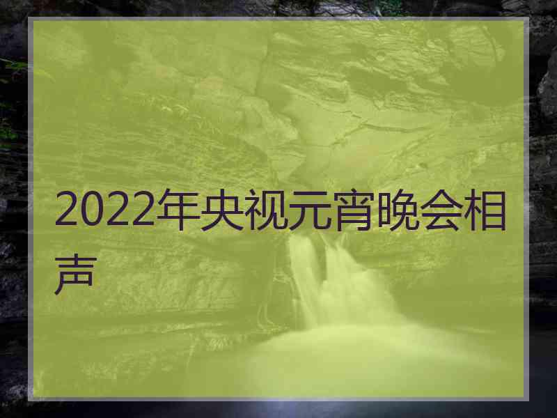 2022年央视元宵晚会相声