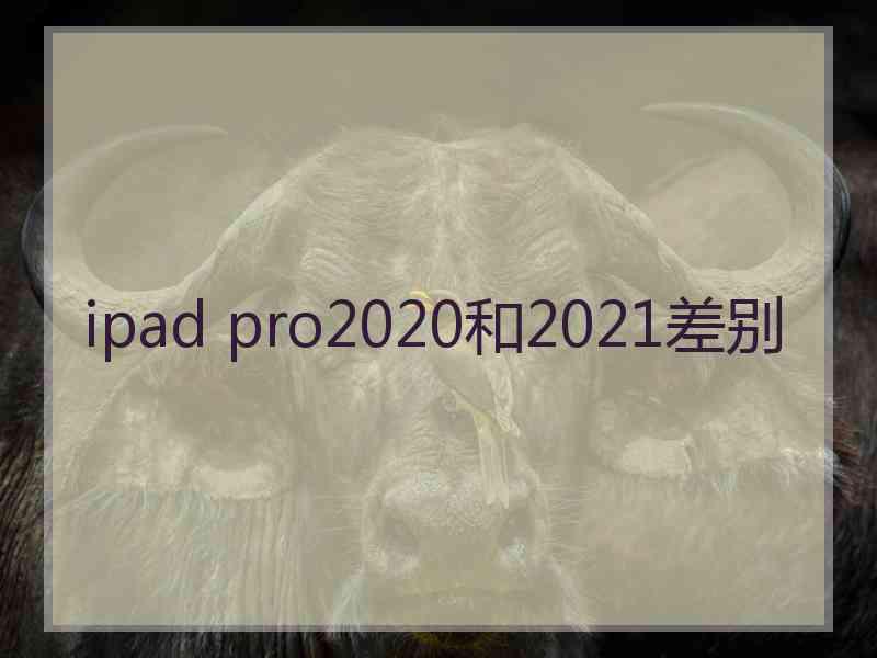 ipad pro2020和2021差别