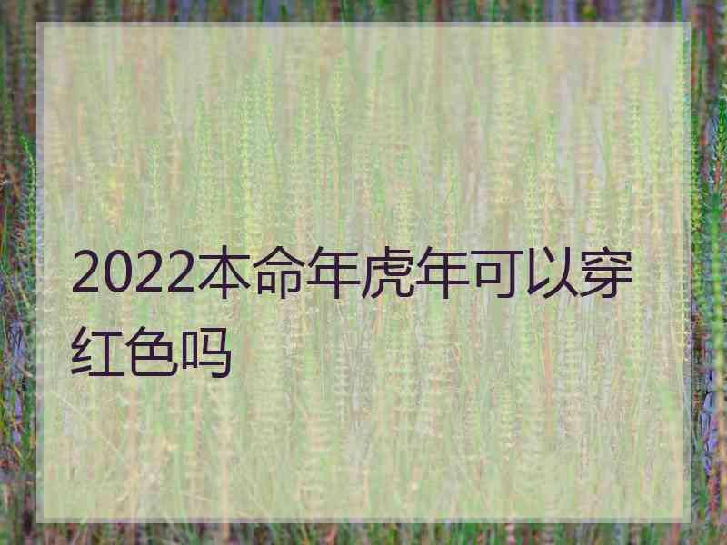 2022本命年虎年可以穿红色吗