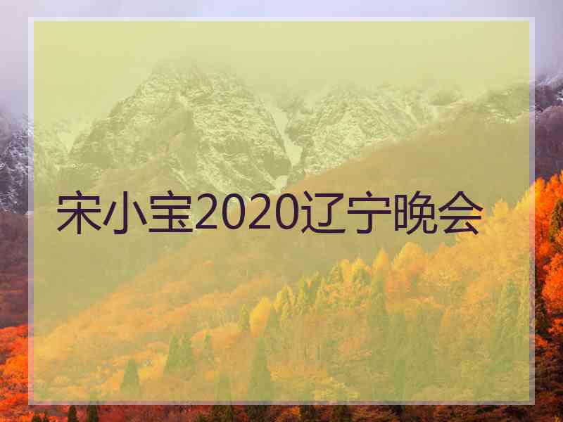 宋小宝2020辽宁晚会