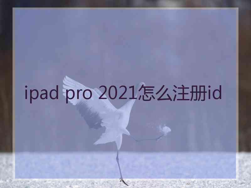 ipad pro 2021怎么注册id