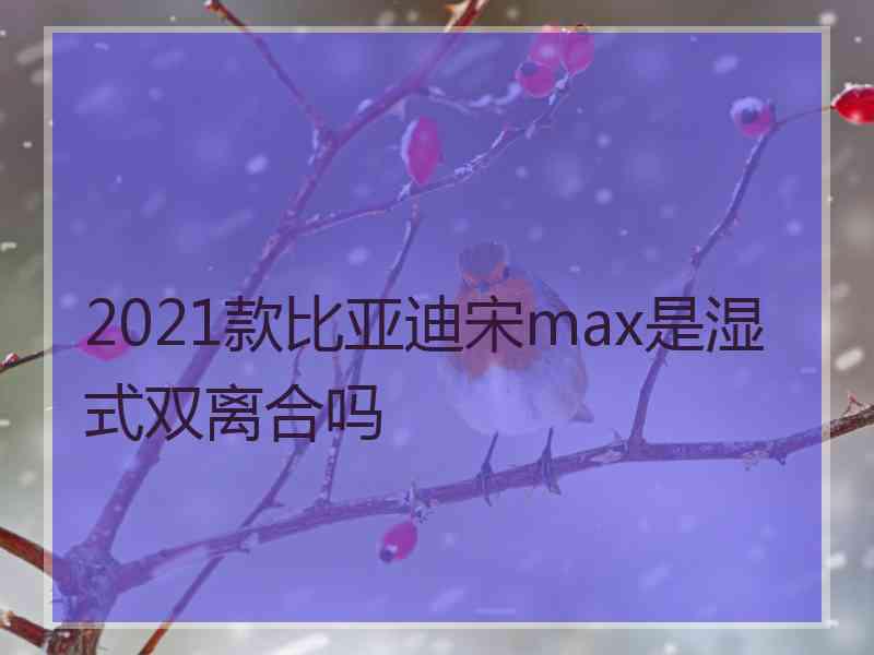 2021款比亚迪宋max是湿式双离合吗