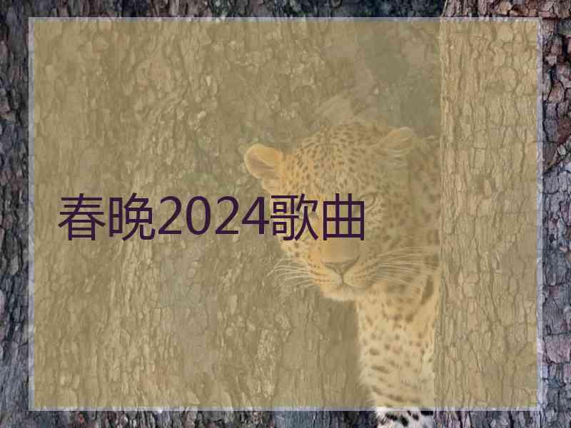 春晚2024歌曲