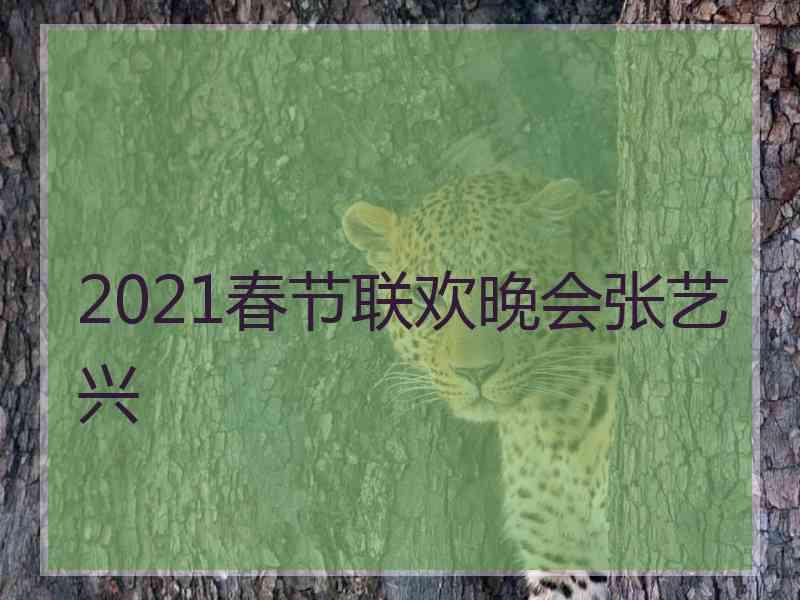 2021春节联欢晚会张艺兴