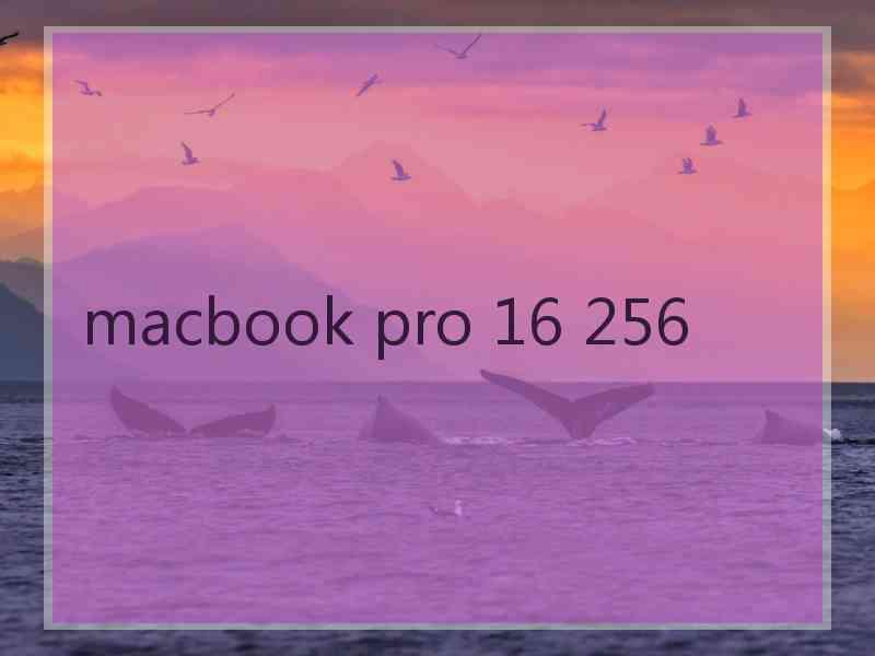 macbook pro 16 256