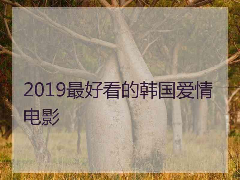 2019最好看的韩国爱情电影