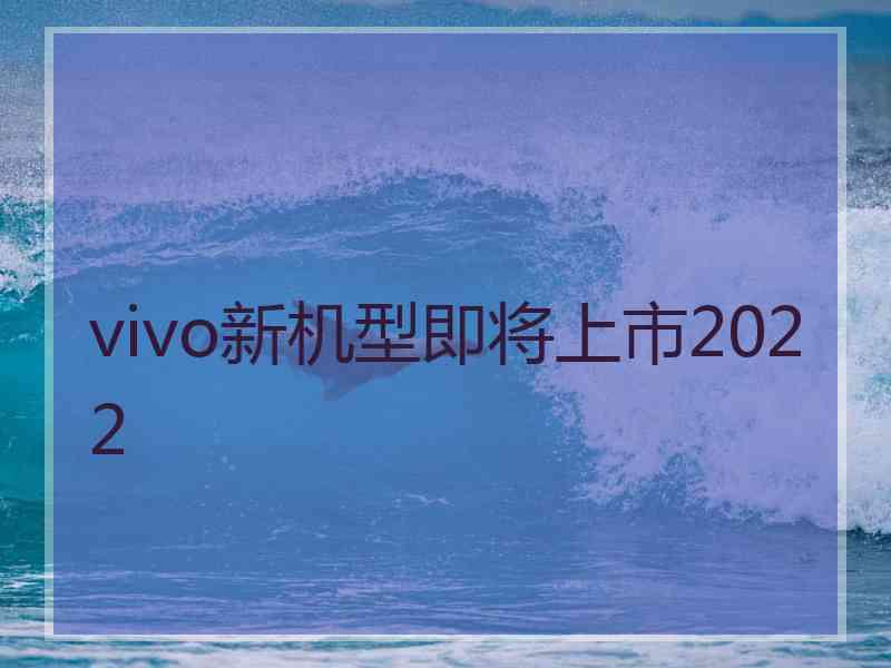 vivo新机型即将上市2022