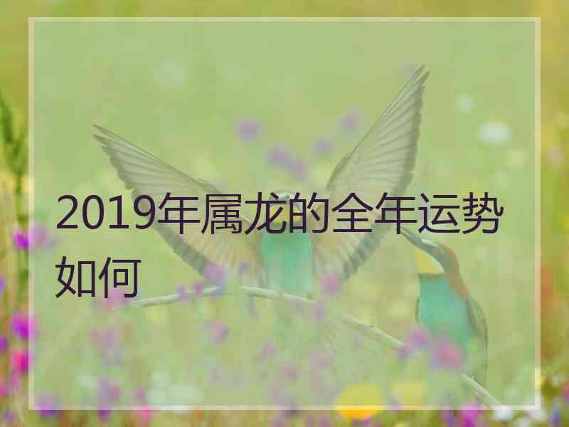 2019年属龙的全年运势如何