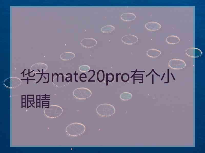 华为mate20pro有个小眼睛