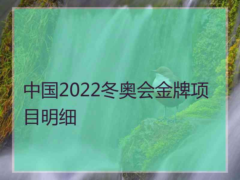 中国2022冬奥会金牌项目明细