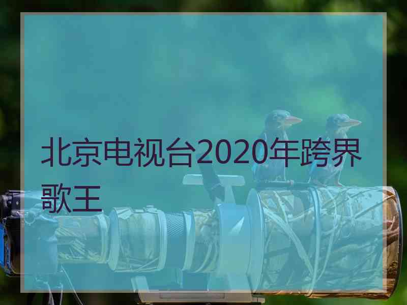 北京电视台2020年跨界歌王