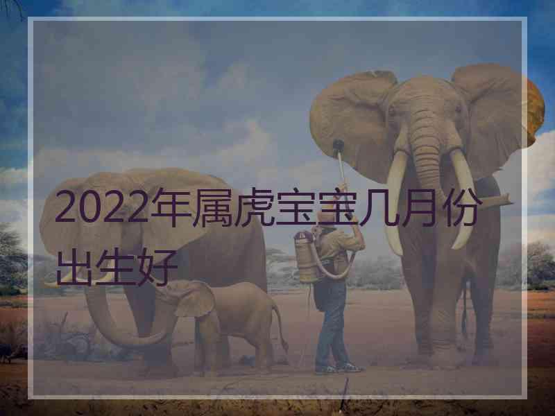 2022年属虎宝宝几月份出生好