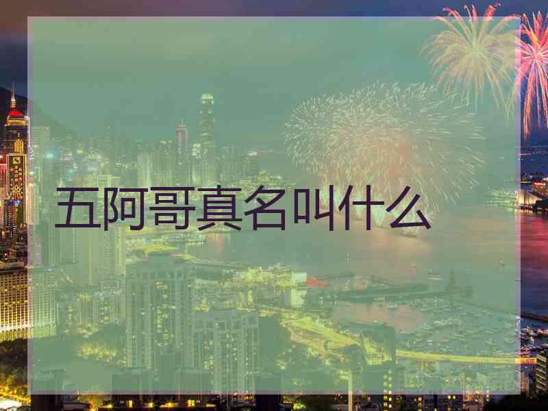 五阿哥真名叫什么