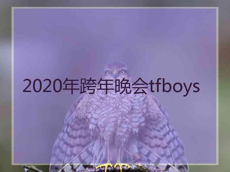 2020年跨年晚会tfboys