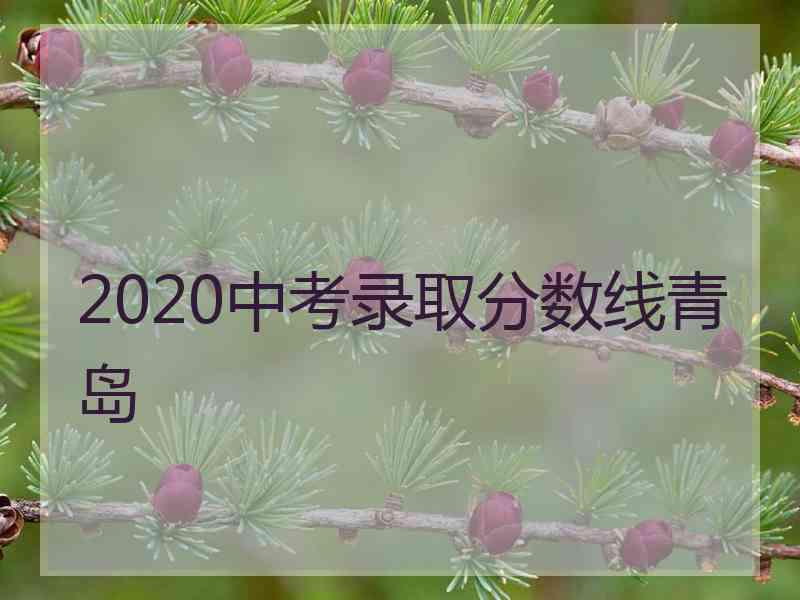 2020中考录取分数线青岛