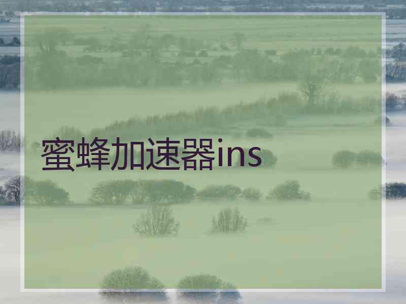 蜜蜂加速器ins