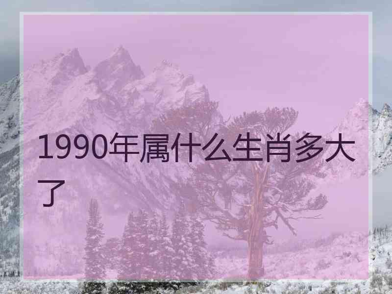 1990年属什么生肖多大了