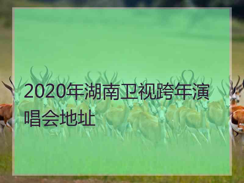 2020年湖南卫视跨年演唱会地址