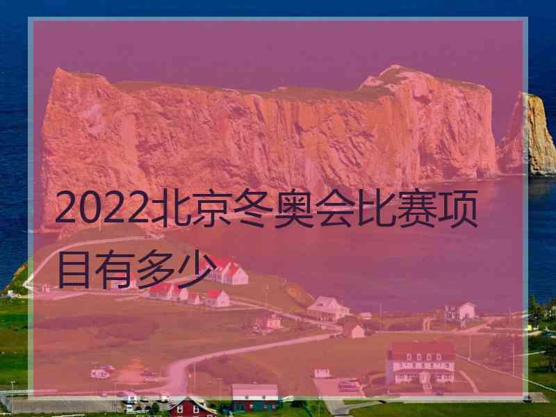 2022北京冬奥会比赛项目有多少