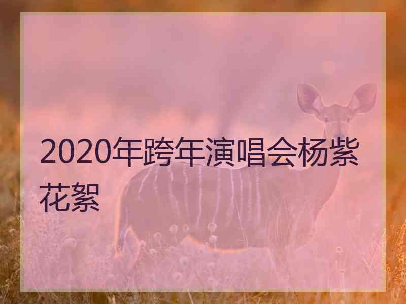 2020年跨年演唱会杨紫花絮