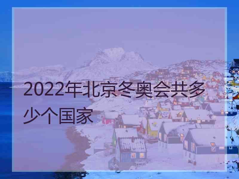 2022年北京冬奥会共多少个国家