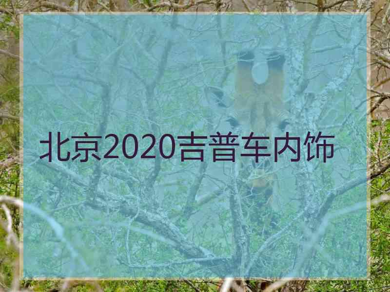 北京2020吉普车内饰