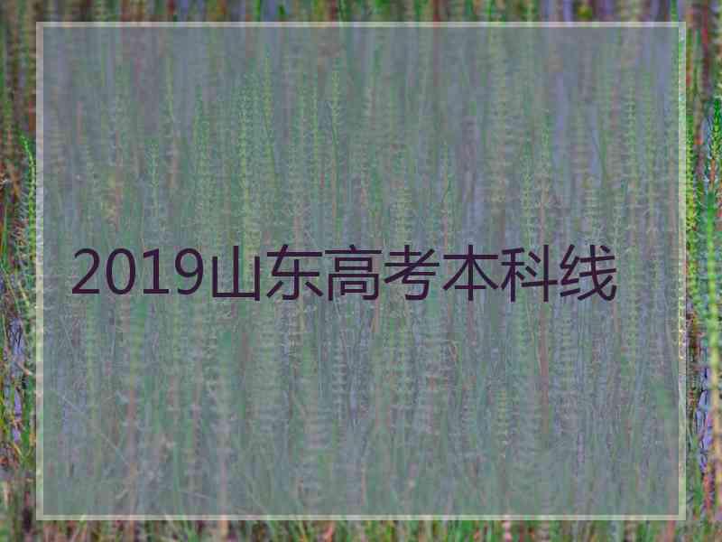 2019山东高考本科线