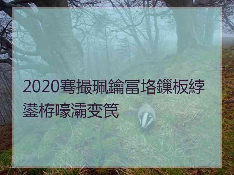 2020骞撮珮鑰冨垎鏁板綍鍙栫嚎灞变笢