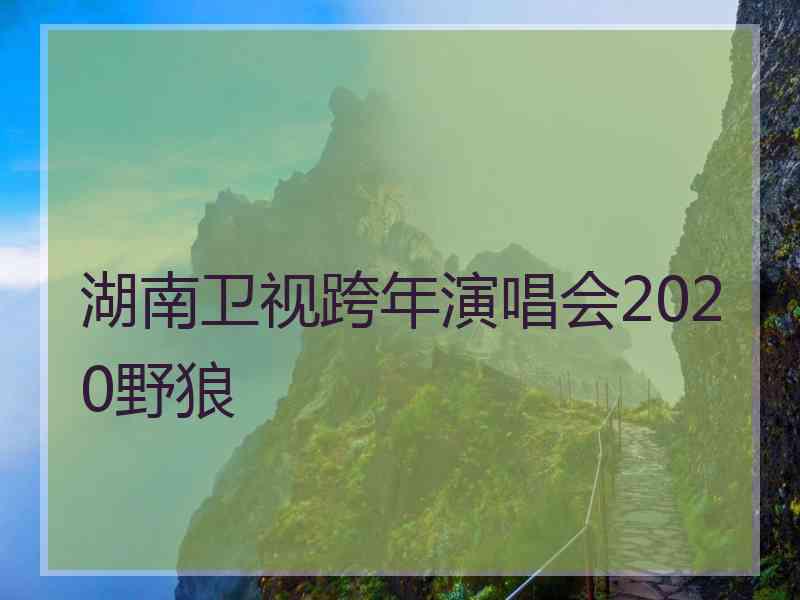 湖南卫视跨年演唱会2020野狼