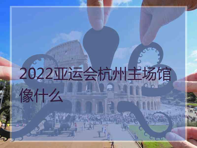 2022亚运会杭州主场馆像什么