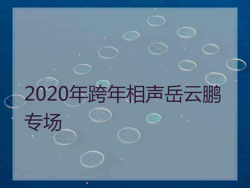 2020年跨年相声岳云鹏专场