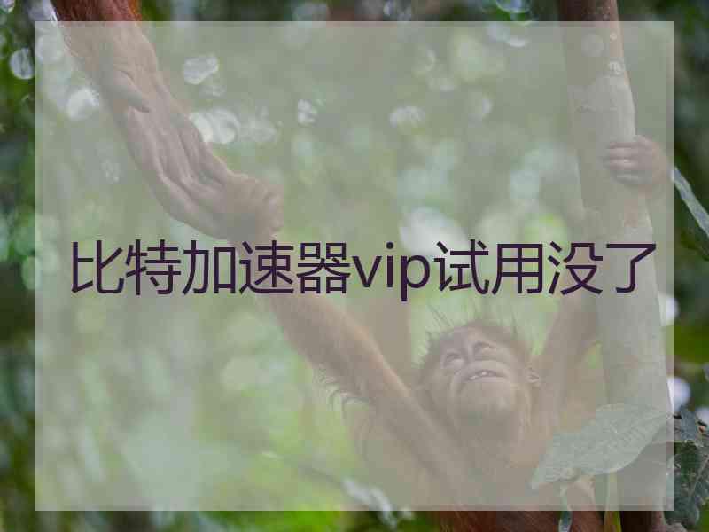 比特加速器vip试用没了